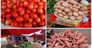 أسعار الخضراوات بأسواق الإسكندرية.. استقرار يمنح المستهلك فرصة لالتقاط الأنفاس