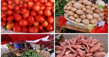 أسعار الخضراوات بأسواق الإسكندرية.. استقرار يمنح المستهلك فرصة لالتقاط الأنفاس