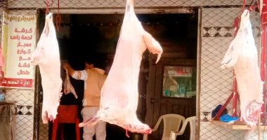 أسعار اللحوم في كفر الشيخ تسجل قفزة جديدة.. والكيلو يتجاوز حاجز الـ 400 جنيه بالأسواق.