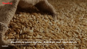 بكم الطن اليوم؟.. أسعار الأرز الشعير في مصر اليوم بالشرقية وحركة الأسواق