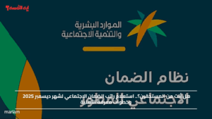 هل أنت من المستحقين؟.. استعلام راتب الضمان الاجتماعي لشهر ديسمبر 2025 وخطوات معرفة الأهلية