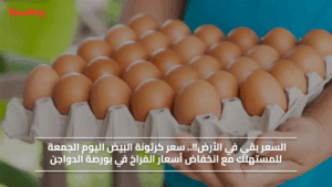 السعر بقي في الأرض!!.. سعر كرتونة البيض اليوم الجمعة للمستهلك مع انخفاض أسعار الفراخ في بورصة الدواجن