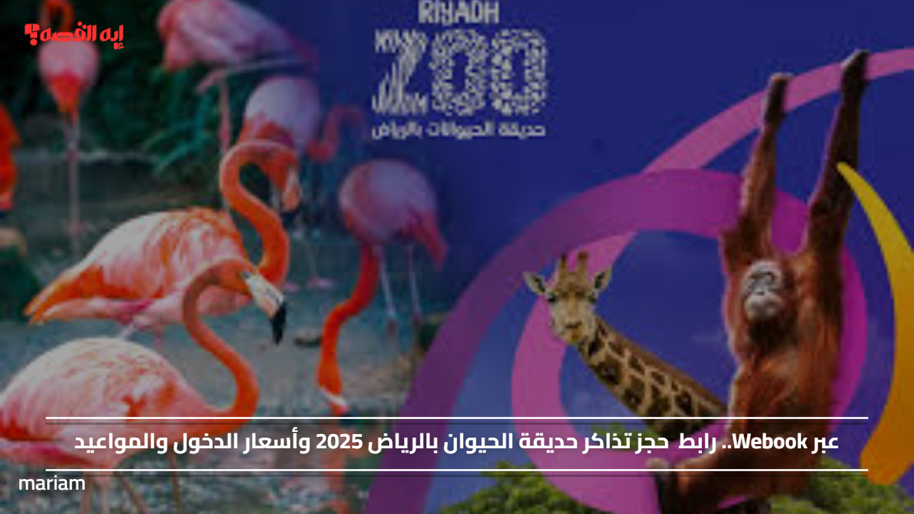 عبر Webook.. رابط حجز تذاكر حديقة الحيوان بالرياض 2025 وأسعار الدخول والمواعيد