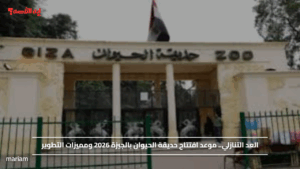 العد التنازلي.. موعد افتتاح حديقة الحيوان بالجيزة 2026 ومميزات التطوير