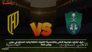 كيف تشاهد مواجهة الأهلي والقادسية؟ القنوات الناقلة والبث المباشر في دوري روشن 2025