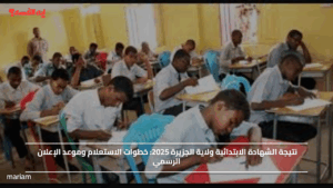 نتيجة الشهادة الابتدائية ولاية الجزيرة 2025.. خطوات الاستعلام وموعد الإعلان الرسمي