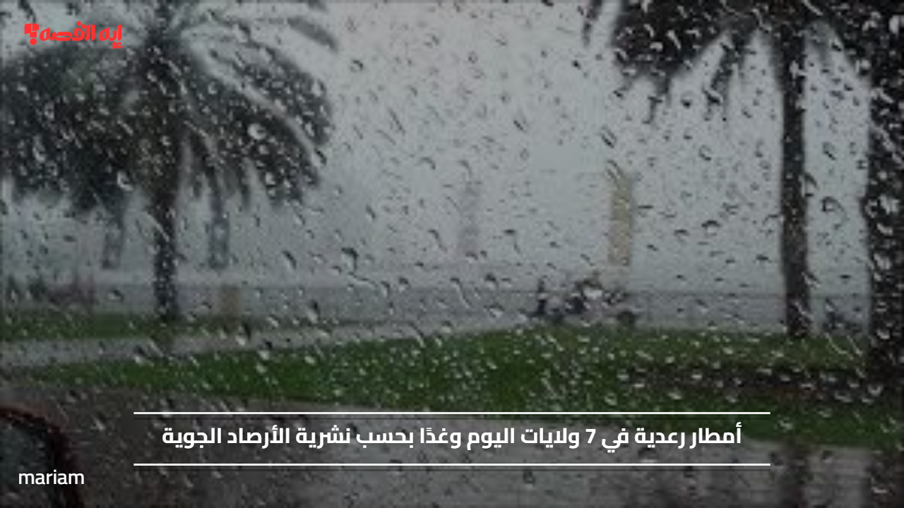 أمطار رعدية في 7 ولايات اليوم وغدًا بحسب نشرية الأرصاد الجوية
