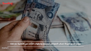 موعد صدور نتيجة حساب المواطن ديسمبر وخطوات التأكد من الأهلية عبر نفاذ