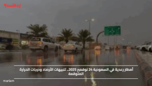أمطار رعدية في السعودية 24 نوفمبر 2025.. تنبيهات الأرصاد ودرجات الحرارة المتوقعة