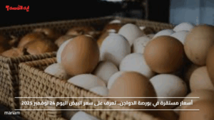 أسعار مستقرة في بورصة الدواجن.. تعرف على سعر البيض اليوم 24 نوفمبر 2025