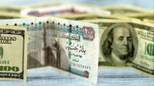 سعر الدولار مقابل الجنيه المصري اليوم