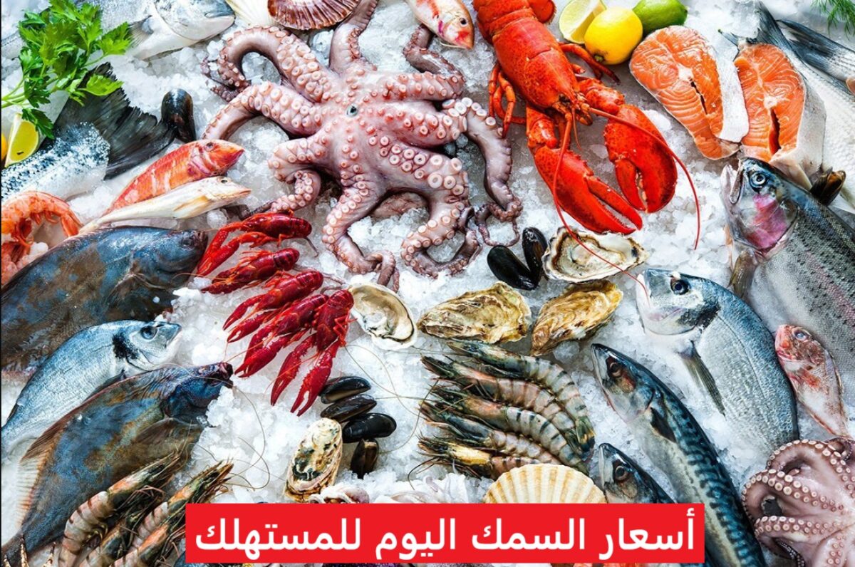 أسعار السمك اليوم للمستهلك