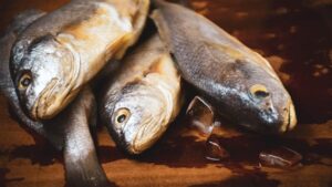 أسعار السمك اليوم 21 نوفمبر 2025: تفاصيل جديدة تؤثر على تكلفة السوق للمستهلكين