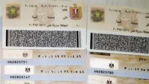 استخراج بطاقة الرقم القومي إلكترونيًا في 2025: خطوات سريعة عبر بوابة الحكومة المصرية الرسمية