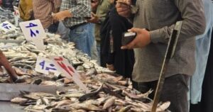 استقرار أسعار الأسماك في دمياط اليوم يبدأ من 30 جنيهًا بمختلف الأنواع