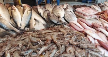 البلطي يسجل 70 جنيهًا.. قائمة أسعار السمك الكاملة في أسواق القليوبية اليوم