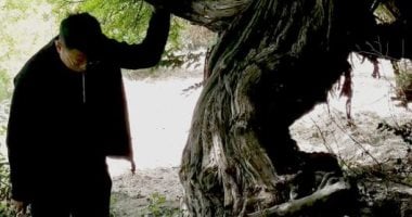 بعد 416 عاماً.. أقدم شجرة عنب في العالم ما زالت تثمر بجبال التبت