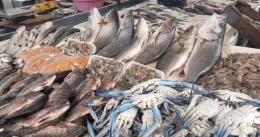 بورصة أسماك كفر الشيخ.. استقرار سعر البلطي وتراجع طفيف في البوري اليوم