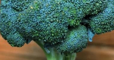 تناول البروكلي يومياً يطلق مركباً قوياً يُصلح تلف الخلايا ويعزز مناعتك.