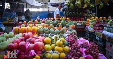 سعر البرتقال في المنوفية يسجل تراجعًا جديدًا مع بداية تعاملات الأسبوع