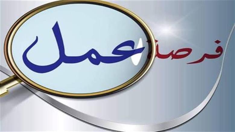 شروط التقديم لوظائف محافظة القاهرة وآخر موعد مع الأوراق المطلوبة للتقديم