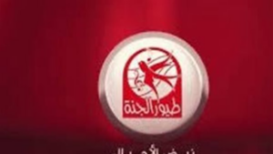 "طيور الجنة" تواجه جيل "تيك توك".. القناة تغير استراتيجيتها للبقاء في صدارة الترفيه التعليمي