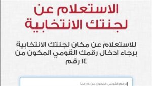 الهيئة الوطنية للانتخابات استعلم الآن عن لجنتك الانتخابية بالرقم القومي بضغطة واحدة