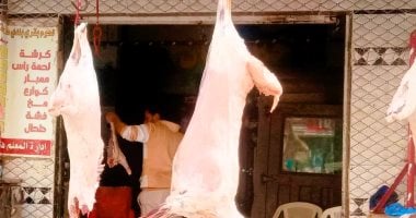 موجة غلاء جديدة تضرب أسواق مطروح.. أسعار اللحوم تتجاوز حاجز 400 جنيه للكيلو