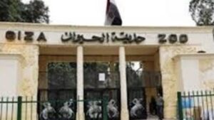 موعد افتتاح حديقة الحيوان بالجيزة 24 نوفمبر 2025 وتفاصيل التطوير الكبرى