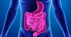 وداعًا للانتفاخ والكسل.. تطهير القولون طبيعيًا يبدأ من 7 أطعمة بسيطة.