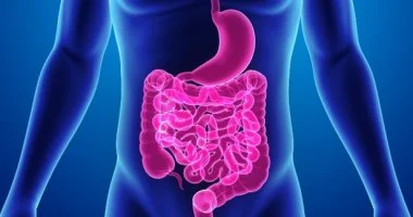 وداعًا للانتفاخ والكسل.. تطهير القولون طبيعيًا يبدأ من 7 أطعمة بسيطة.