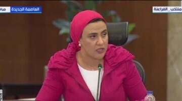 23 مليار جنيه خسائر رئيس الوزراء يكشف حجم سرقات الكهرباء