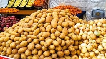 أسواق الأقصر اليوم استقرار ملحوظ في أسعار الخضروات المعروضة داخل