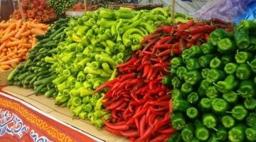 الطماطم بـ 7 جنيهات قائمة أسعار الخضروات والفاكهة بأسواق كفر