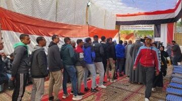 انطلاق الاقتراع بالخارج تصويت المصريين في نيوزيلندا على مقاعد الدوائر