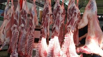 بـ 240 جنيها أسعار اللحوم في كفر الشيخ قبل احتفالات