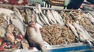 بفارق طفيف أسعار السمك بأسواق مطروح تسجل 160 جنيهًا لنوع