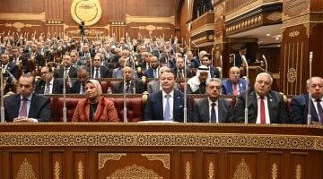 بمشاركة الحكومة برلمان مصر يناقش ملف الشراكات الدولية في اجتماع