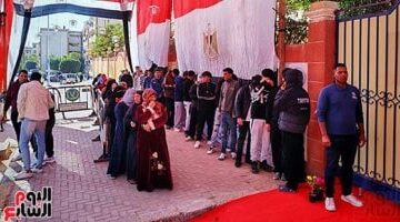 بوابة تصويت المغتربين جدول اقتراع المصريين بالخارج لإعادة انتخابات النواب