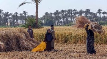 تجارب دولية ملهمة كيف تستفيد شركات التأمين من نماذج اليونان