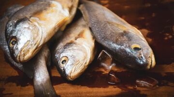 تحديث الأسعار اليومية مفاجأة في ثمن كيلو البلطي والسبيط بكافة