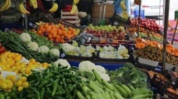 تحديثات الأسعار بالفيوم تباين ملحوظ في تكلفة شراء الخضراوات والفاكهة
