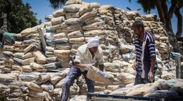 تحديثات الأسعار تباين جديد في سعر طن الأسمنت بمختلف المحافظات