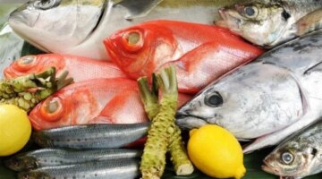 تحديثات الأسعار قائمة أسعار الأسماك والجمبري في الأسواق خلال تعاملات