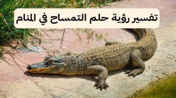 تحذير ابن سيرين ماذا تعني رؤية التمساح في المنام عن