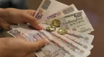 تحذير دار الإفتاء حكم التهرب من الضرائب ومصير قارون ينتظر.webp