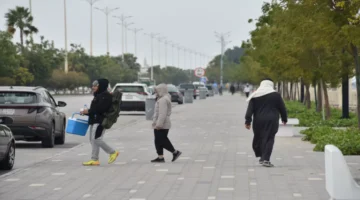 تحذير لخبراء الفلك موجة برد الأزيرق القادمة من سيبيريا تهدد.webp