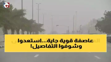 تحذير لـ 12 ساعة الأرصاد السعودية توضح مخاطر الضباب الكثيف.webp