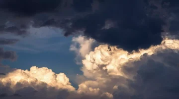 تحذير لـ 7 مناطق الأرصاد تعلن حالة انعدام الرؤية بسبب.webp