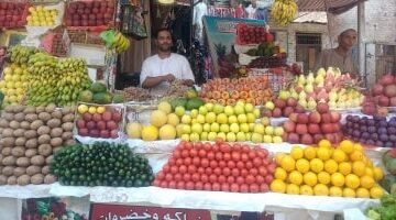 تحركات جديدة أسعار الخضار والفاكهة بأسواق المنوفية خلال تعاملات الأحد